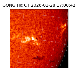 gong - 2026-01-28T17:00:42