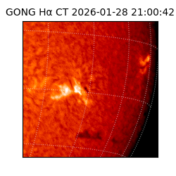 gong - 2026-01-28T21:00:42