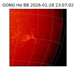 gong - 2026-01-28T23:07:02