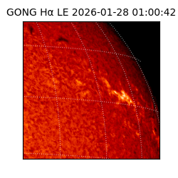 gong - 2026-01-28T01:00:42