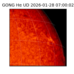 gong - 2026-01-28T07:00:02