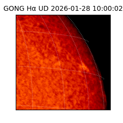 gong - 2026-01-28T10:00:02