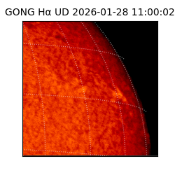 gong - 2026-01-28T11:00:02