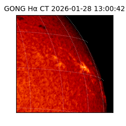 gong - 2026-01-28T13:00:42