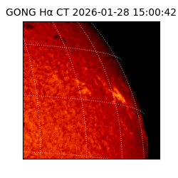 gong - 2026-01-28T15:00:42