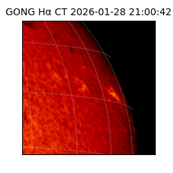 gong - 2026-01-28T21:00:42