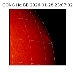 gong - 2026-01-28T23:07:02