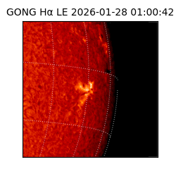gong - 2026-01-28T01:00:42