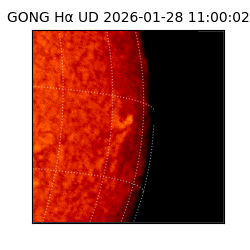 gong - 2026-01-28T11:00:02