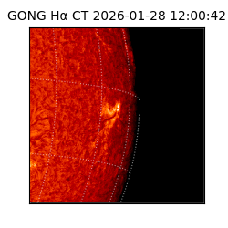 gong - 2026-01-28T12:00:42