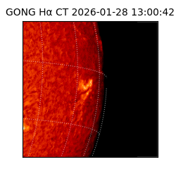 gong - 2026-01-28T13:00:42