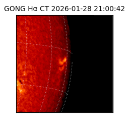gong - 2026-01-28T21:00:42