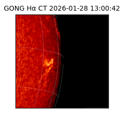 gong - 2026-01-28T13:00:42