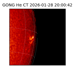 gong - 2026-01-28T20:00:42