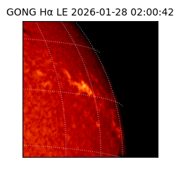 gong - 2026-01-28T02:00:42