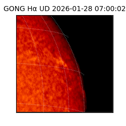 gong - 2026-01-28T07:00:02