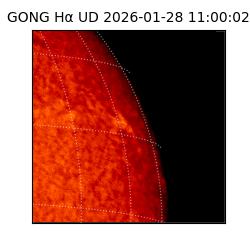 gong - 2026-01-28T11:00:02