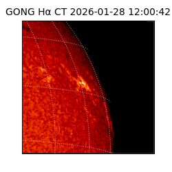 gong - 2026-01-28T12:00:42