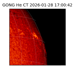 gong - 2026-01-28T17:00:42