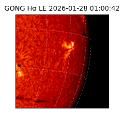 gong - 2026-01-28T01:00:42