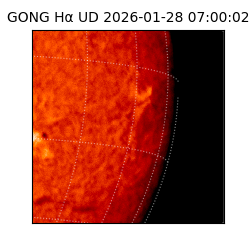 gong - 2026-01-28T07:00:02