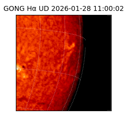 gong - 2026-01-28T11:00:02