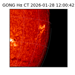 gong - 2026-01-28T12:00:42