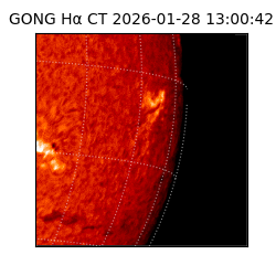 gong - 2026-01-28T13:00:42