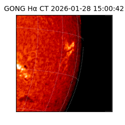 gong - 2026-01-28T15:00:42