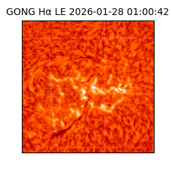 gong - 2026-01-28T01:00:42