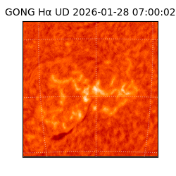 gong - 2026-01-28T07:00:02