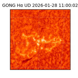 gong - 2026-01-28T11:00:02