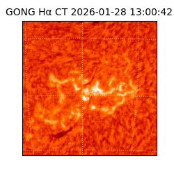 gong - 2026-01-28T13:00:42