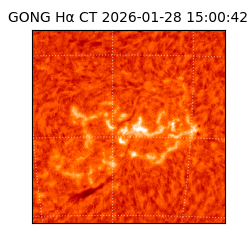 gong - 2026-01-28T15:00:42