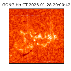 gong - 2026-01-28T20:00:42