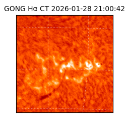 gong - 2026-01-28T21:00:42