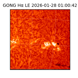 gong - 2026-01-28T01:00:42