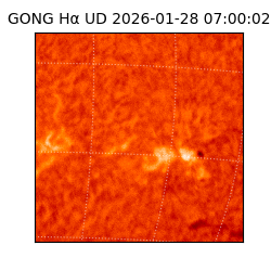 gong - 2026-01-28T07:00:02