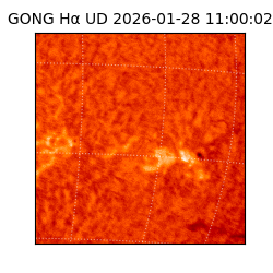 gong - 2026-01-28T11:00:02