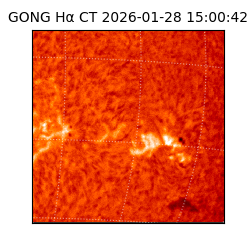 gong - 2026-01-28T15:00:42