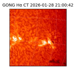 gong - 2026-01-28T21:00:42