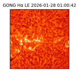 gong - 2026-01-28T01:00:42