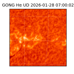 gong - 2026-01-28T07:00:02