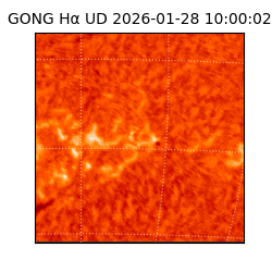 gong - 2026-01-28T10:00:02