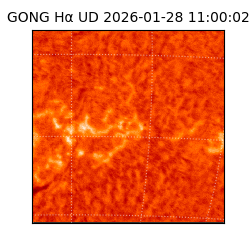 gong - 2026-01-28T11:00:02