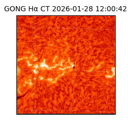 gong - 2026-01-28T12:00:42