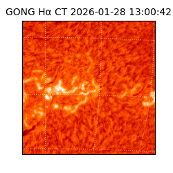 gong - 2026-01-28T13:00:42