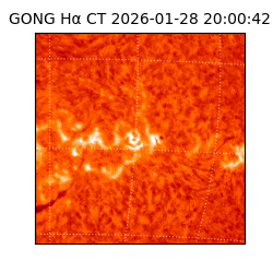 gong - 2026-01-28T20:00:42