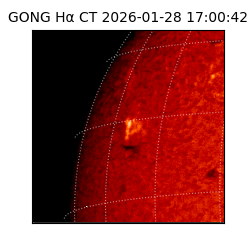 gong - 2026-01-28T17:00:42