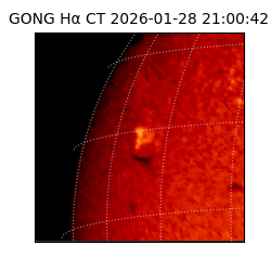 gong - 2026-01-28T21:00:42